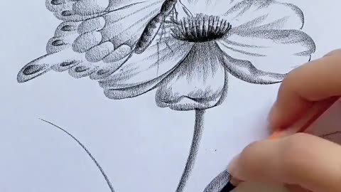 Handmade pencil art drawing