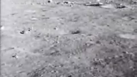 Neil armstrong landed on moon