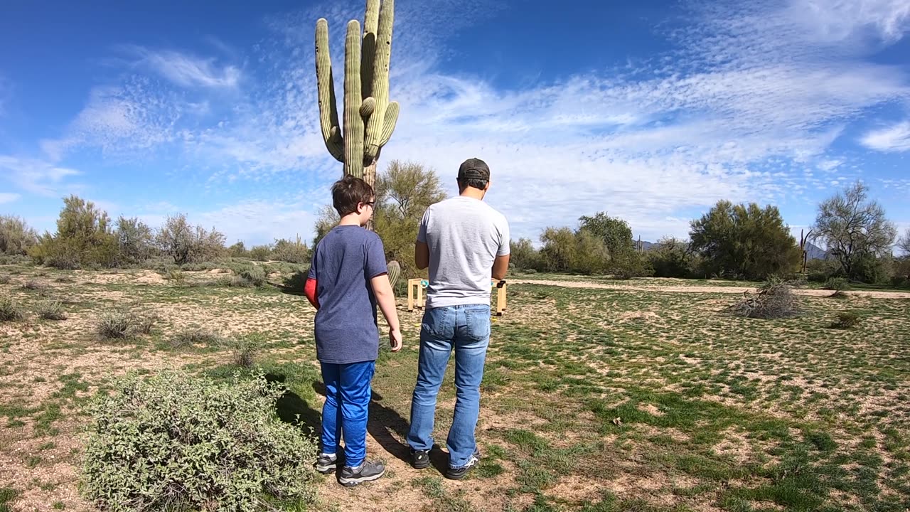 Family Plinking - windy balloon vigilante