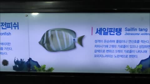 National Maritime Museum (Busan, South Korea)-8