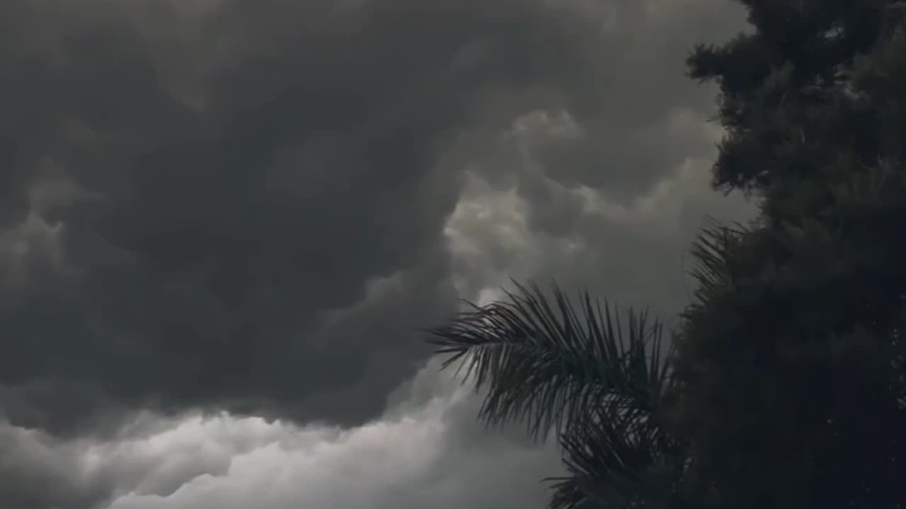 Phir koi aya dil e zar poetry