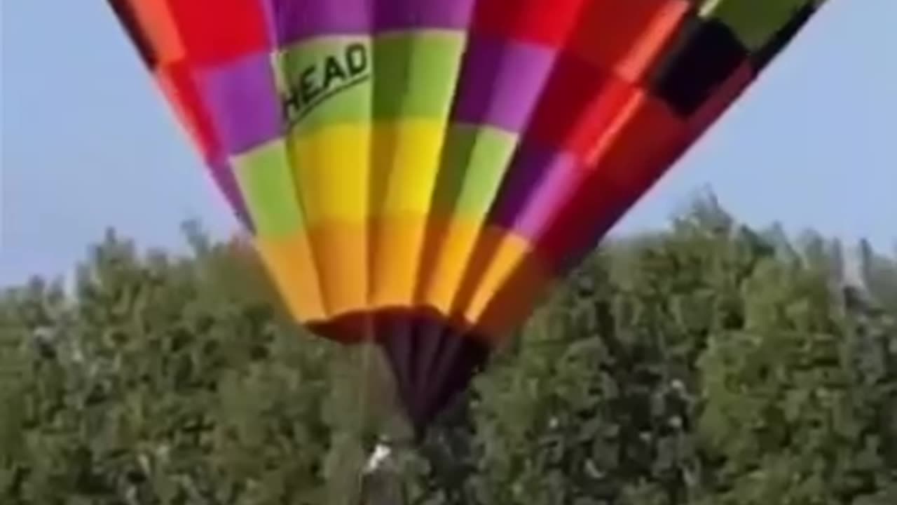 Hot Air Balloons gone wild.