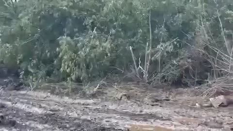 A Russian BTR-82A with the entire crew and troops was ambushed by the Armed Forces during the Ukrai