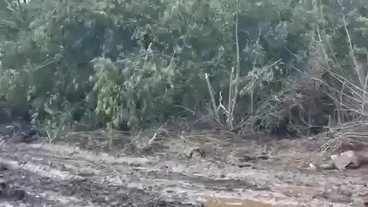 A Russian BTR-82A with the entire crew and troops was ambushed by the Armed Forces during the Ukrai