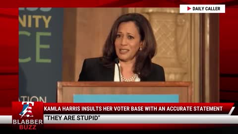 Kamla Harris Insults Her Voter Base With An Accurate Statement