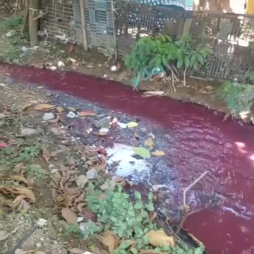 Aguas rojas en un canal del barrio Sucre de Cartagena