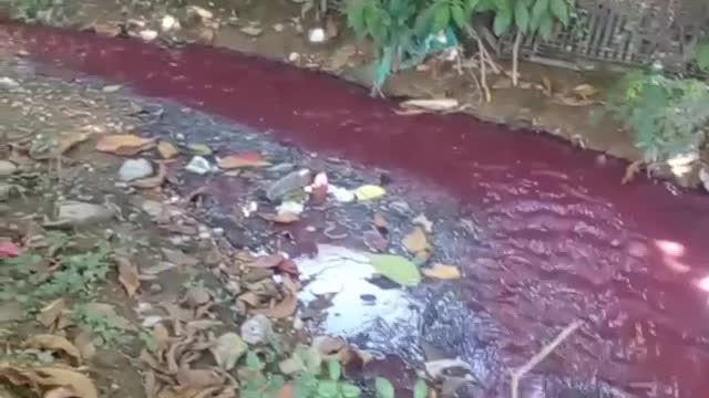 Aguas rojas en un canal del barrio Sucre de Cartagena