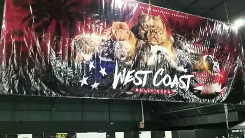 West Coast Bully Expo 3... 2.24.2018