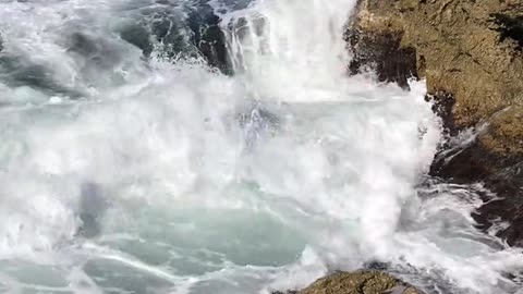 NATURE 78