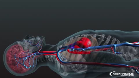 CPR in action - This video might someday save someon's life