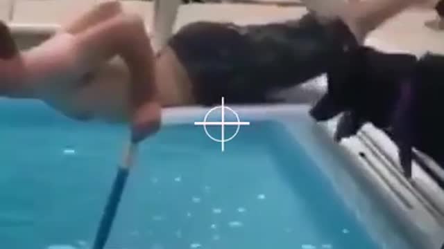 Doggo’s just trying to help - funny dog