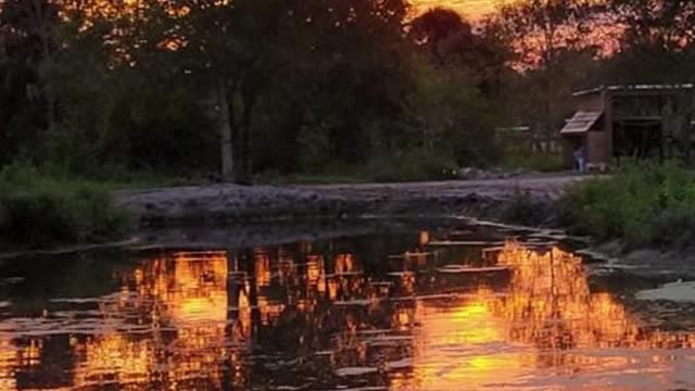 Conquer Ranch's Spring feed pond