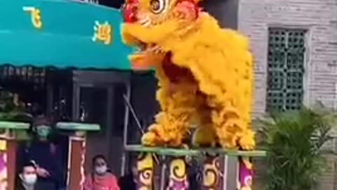 Chinese New Year lion dance