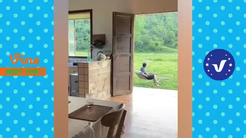 Random Funny Videos -Try Not To Laugh Compilation 2