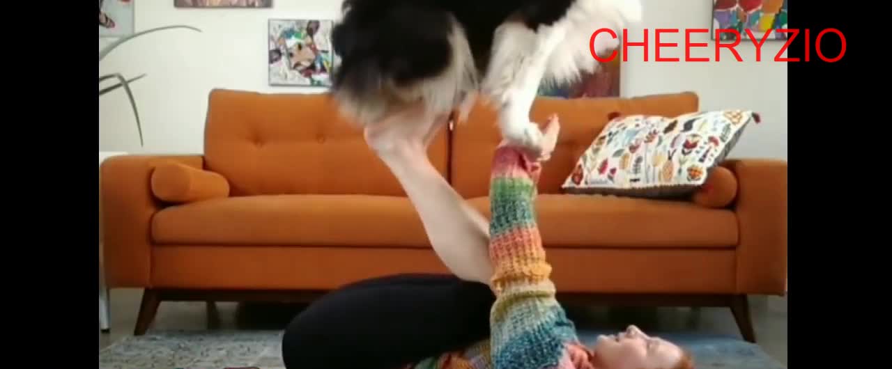 Amazing Dog | You can't believe | This Adorable Dog Doing Yoga With its Owner Will Make Your Day.