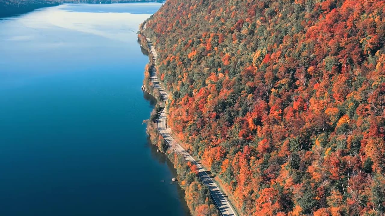 A Wonderful Paradise: Life in Mountain Forests || Splendid Nature || Harmonious Scenery