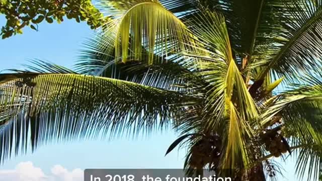 #TomBrady and #GiseleBündchen foundation have less than