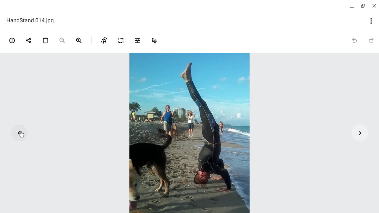 Legacy Photos - Headstands & Dogs @ Ft Lauderdale Beach