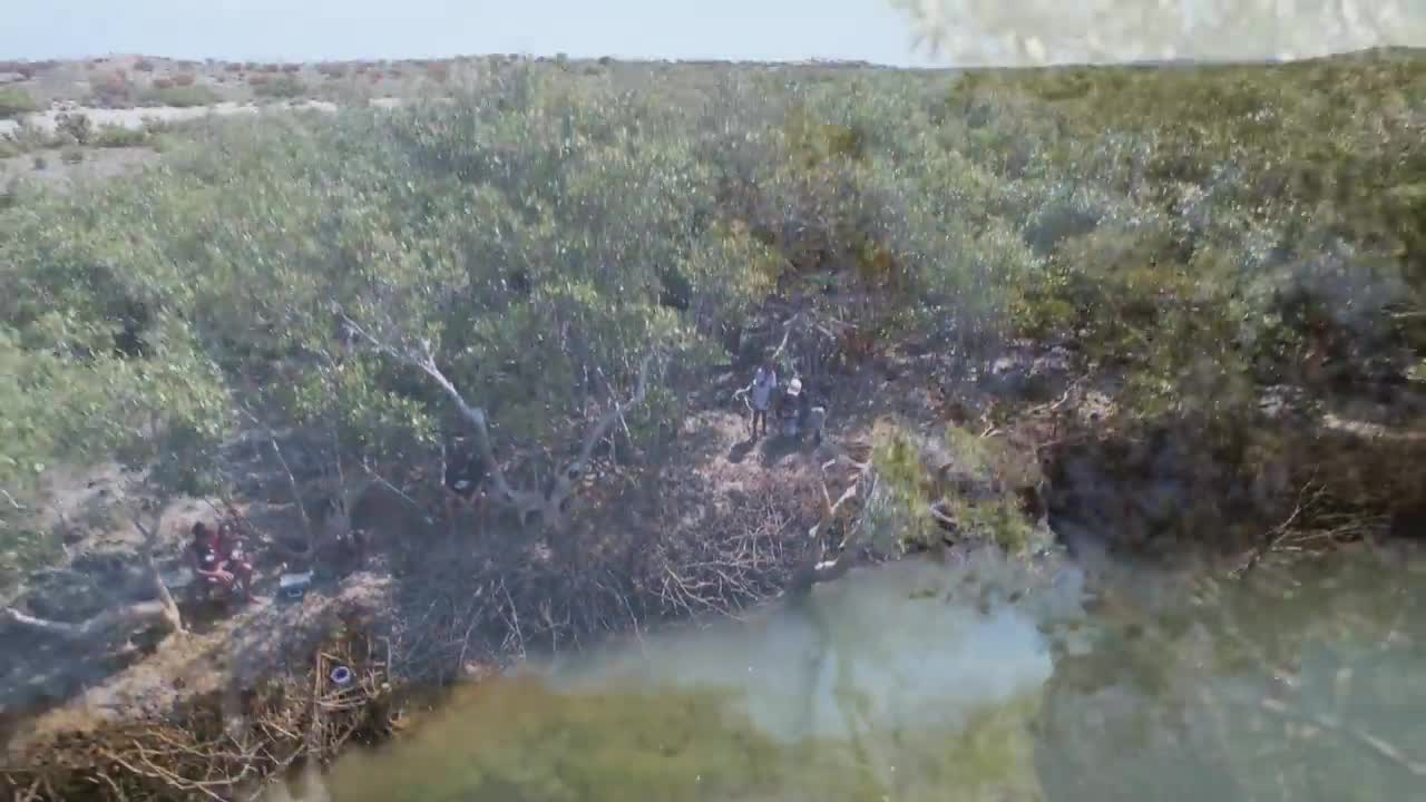 Catching Mudcrabs