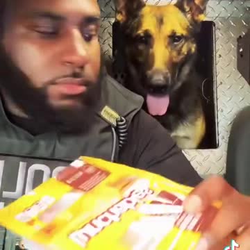 $10 for a Lunchable??