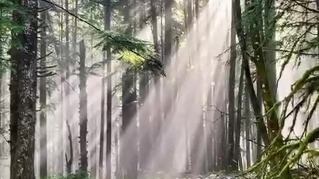 The Truth Seekers 88 LIVE 10/3/2022