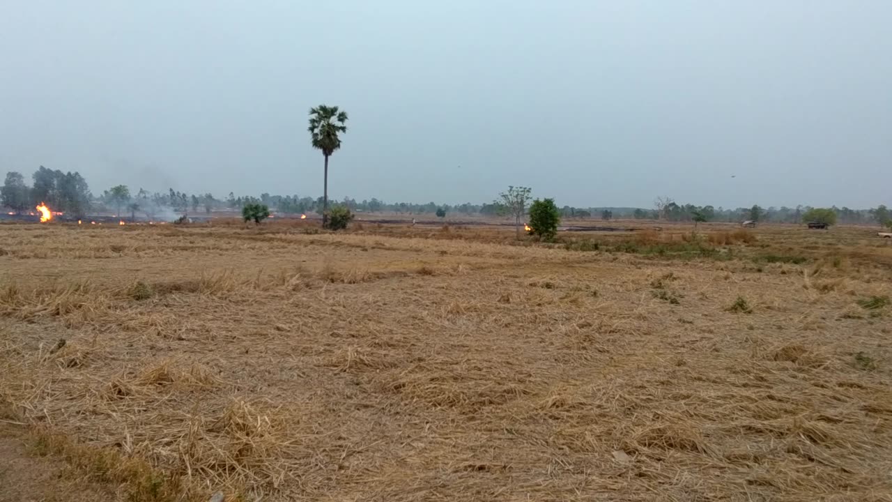 fire in farm