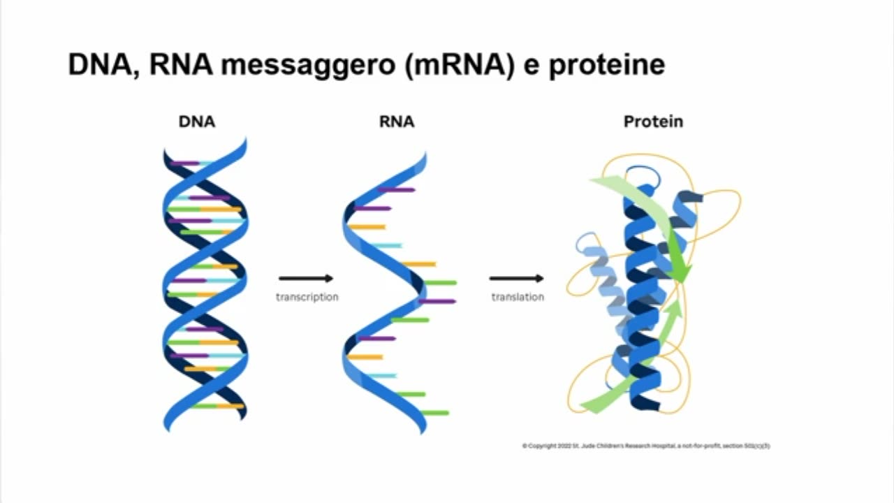 SUCHARIT BHAKDI - pericoli vaccini mRNA