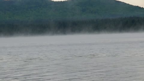 Steam Fog