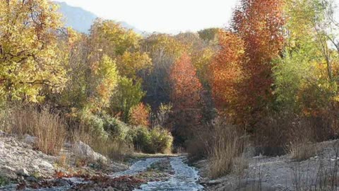 Birjand area visiting sites from Iran