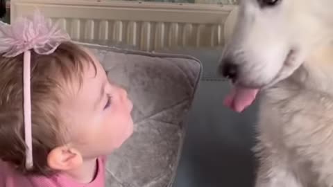 Puppy Love: The Cutest Dog and Baby Pairings"
