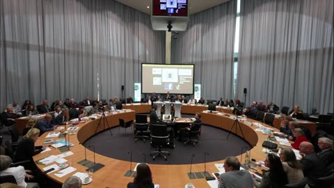 2. Corona-Symposium im Bundestag - Dr. Rainer Rothfuß und Uwe Kranz - WHO - Tag 2