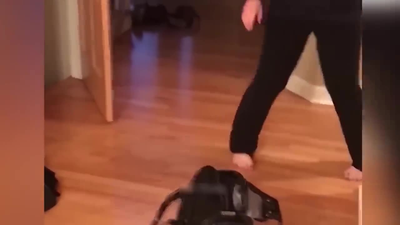 CAT FUNNY VIDEO