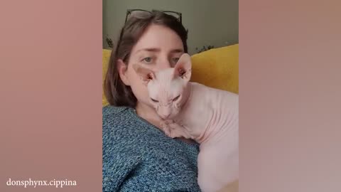 When your cat and your man are in sync - Funny Cat and Human 😂