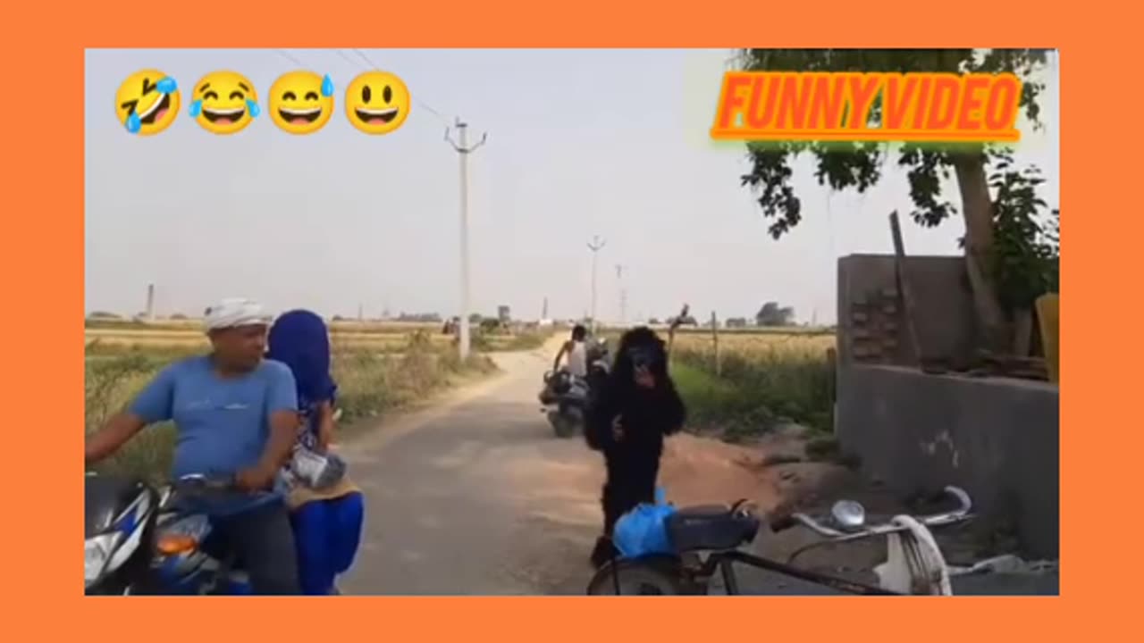 Very funny 😂🤣 video of dogs 🐕🐶 comedy 😅🌹