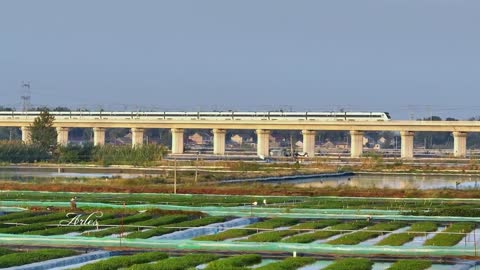 China's high-speed rail between the idyllic lakes