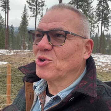 Good Morning from McKenzie Mountain 11-29-24