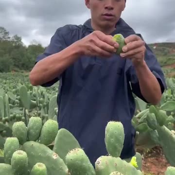 Does anyone know the name of this?