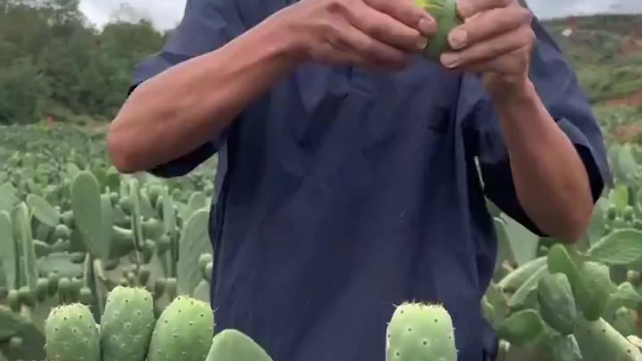 Does anyone know the name of this?