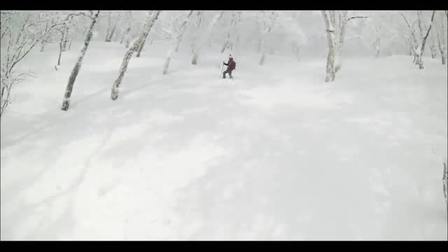 Downhill skier.
