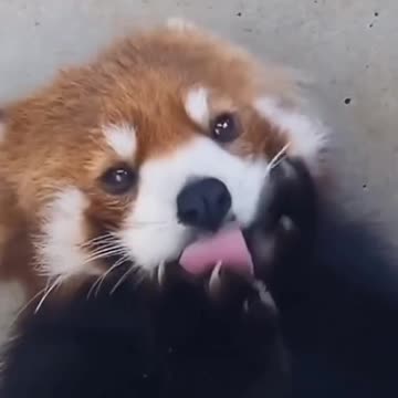 Good morning! Look how great I am.