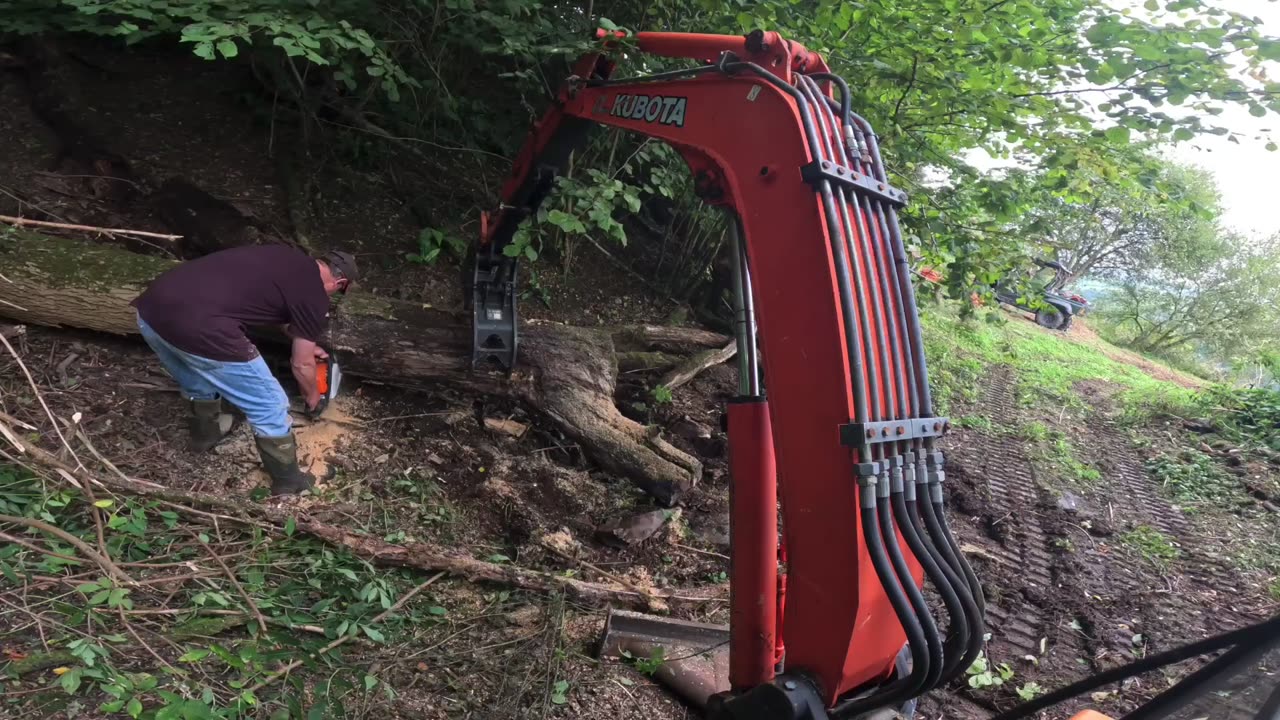 Moving big rotten logs