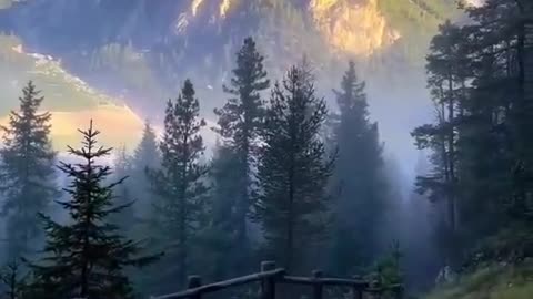 Beauty of Nature (no audio)