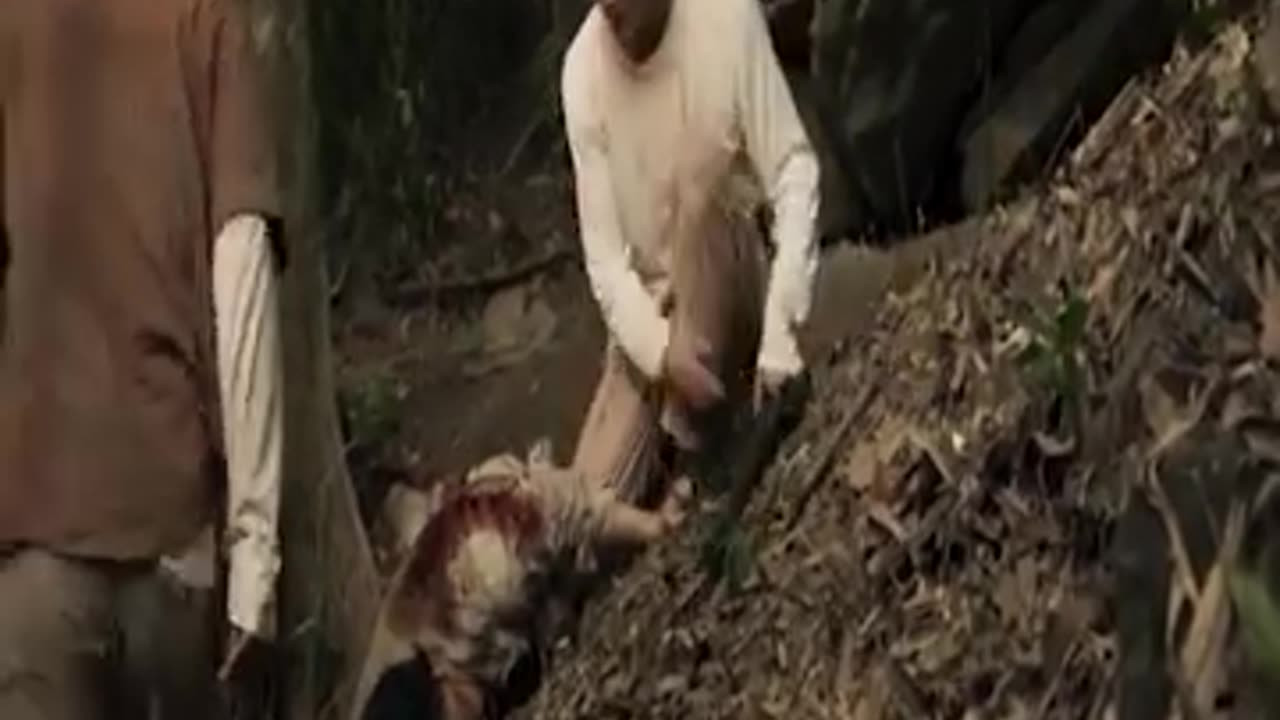 Action movie ultimate fight