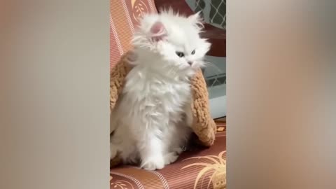 Best Funny Animal Videos Of The 2023 🤣 - Funniest Cats And Dogs Videos 😺😍 (33)