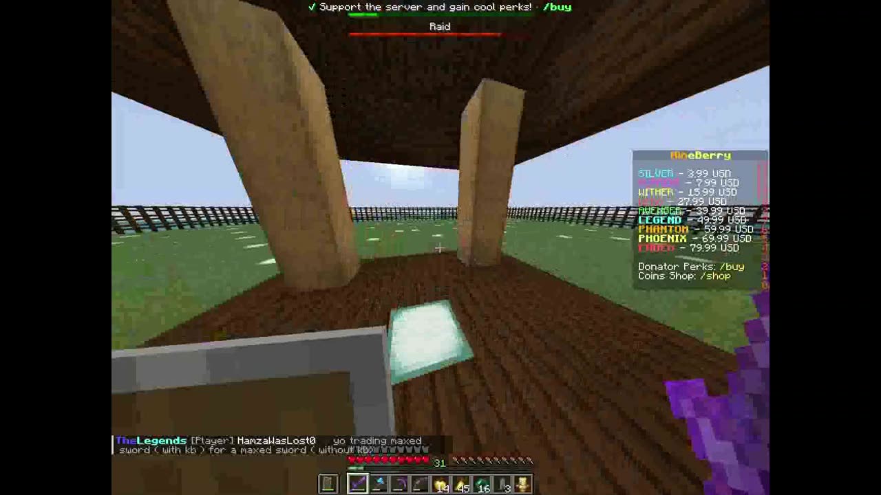 Minecraft pillagers raid :)