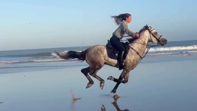 🐎 Riding On The Beach!