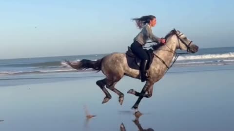 🐎 Riding On The Beach!