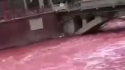 Why are Rivers around the World turning BLOOD Red