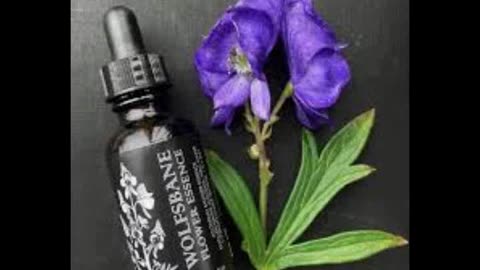 Wolfsbane