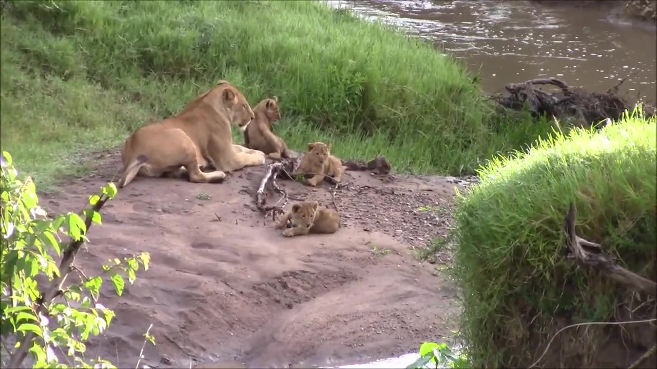 family together 🤩🤩🤩